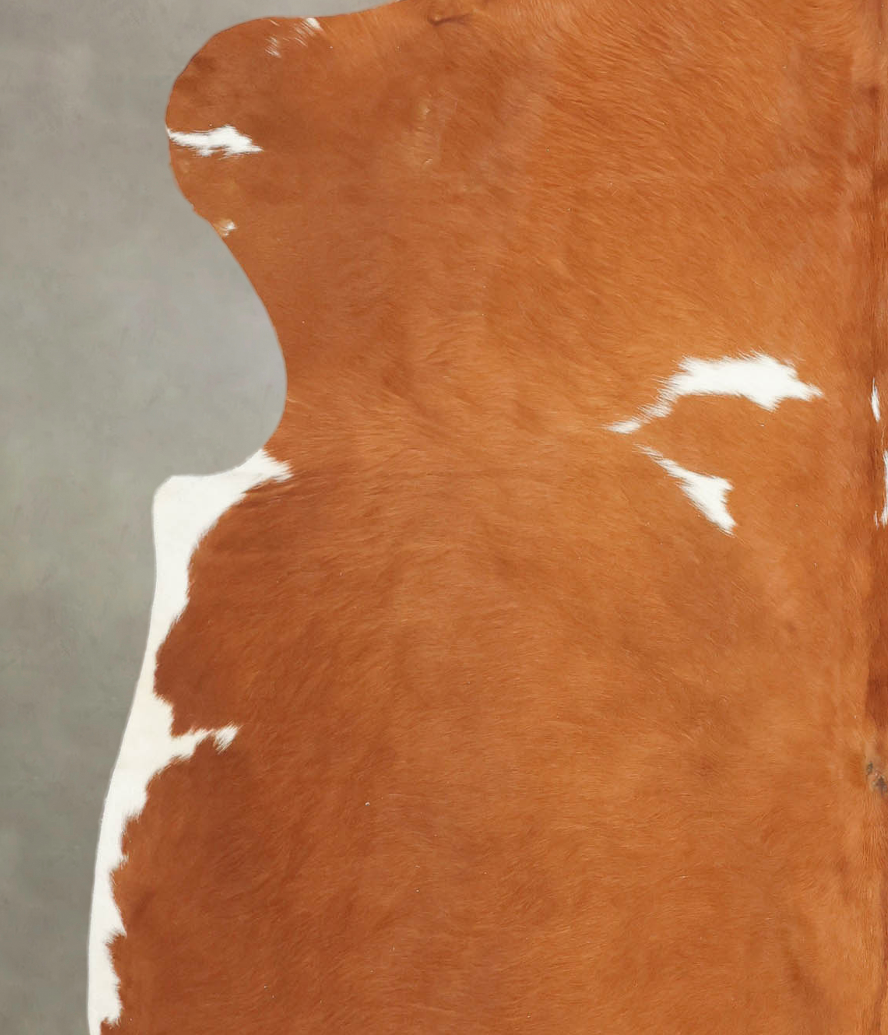 Brown and White Cowhide Rug #B5828