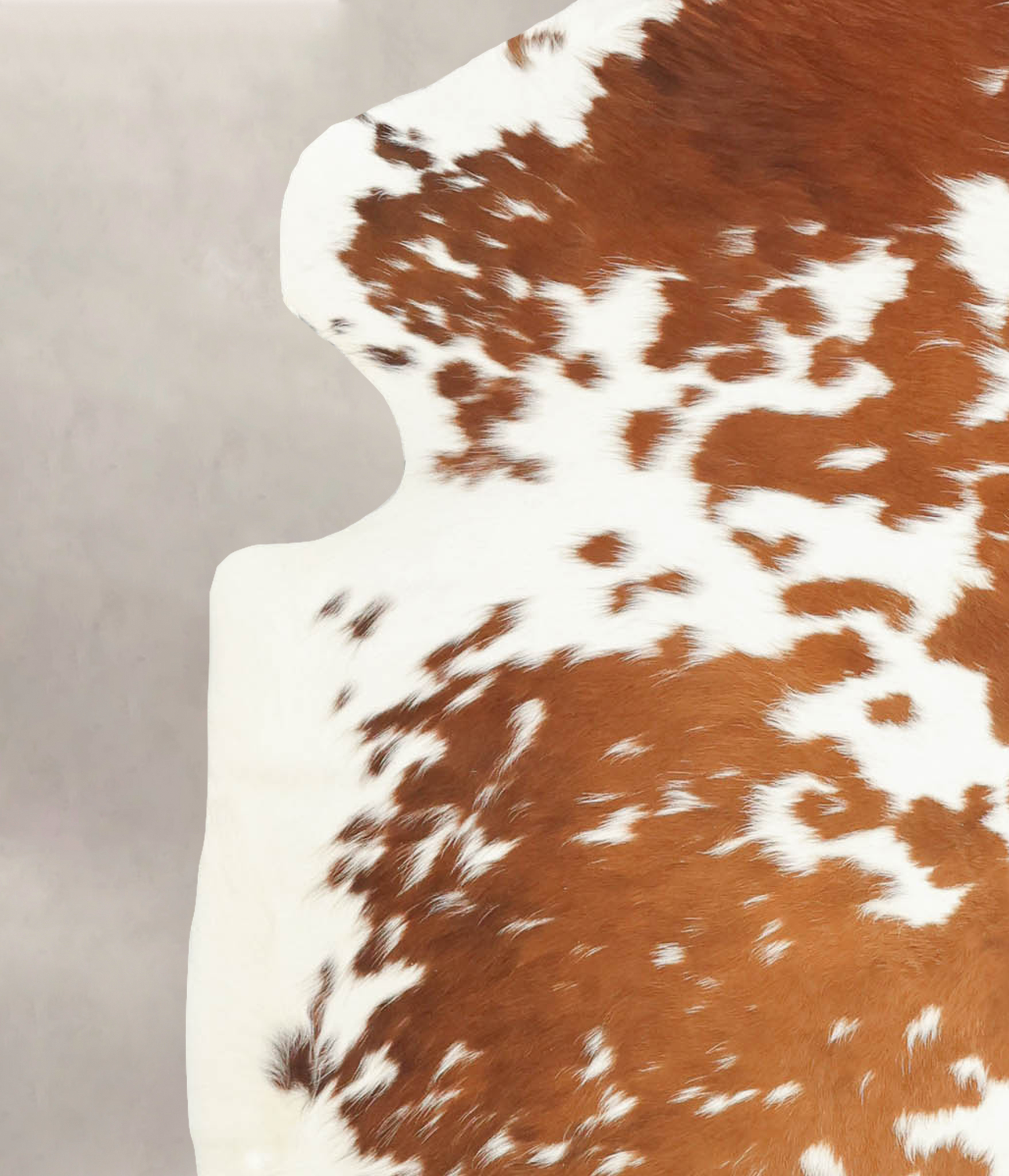 Brown and White Cowhide Rug #B5839