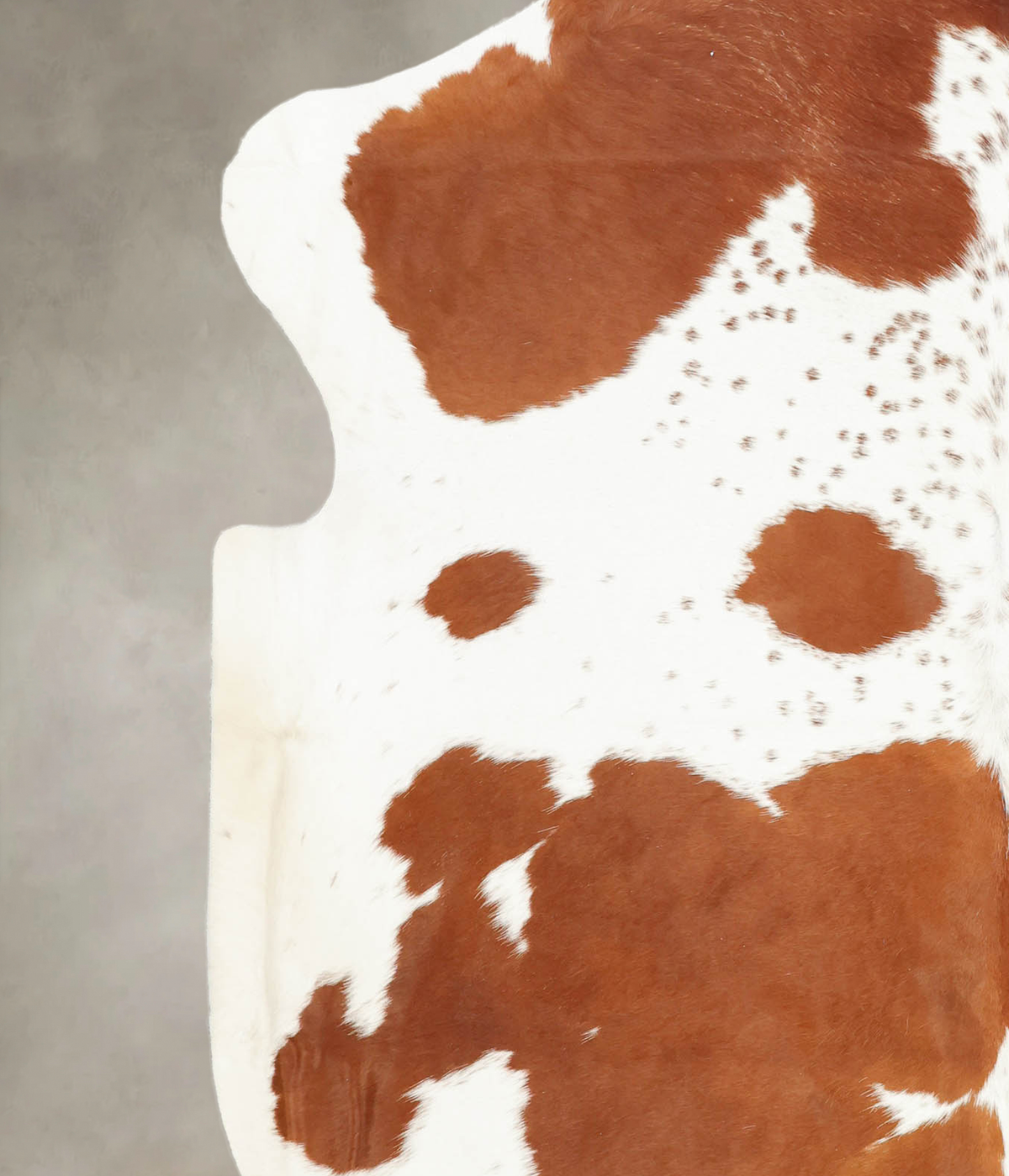 Brown and White XX-Large European Cowhide Rug 7'2"H x 7'0"W #B5844 by Hudson Hides