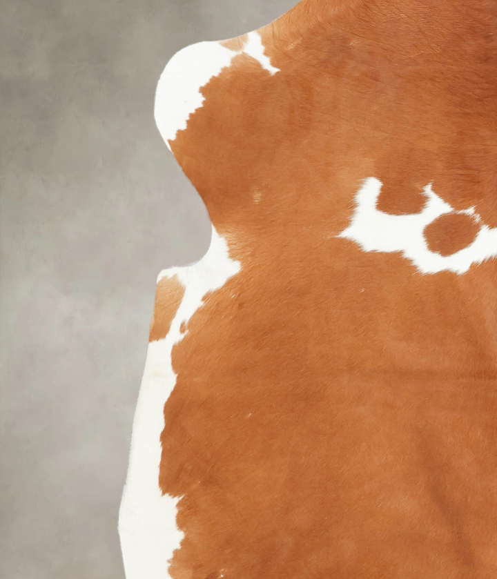 Brown and White X-Large European Cowhide Rug 7'0"H x 6'3"W #B5846 by Hudson Hides