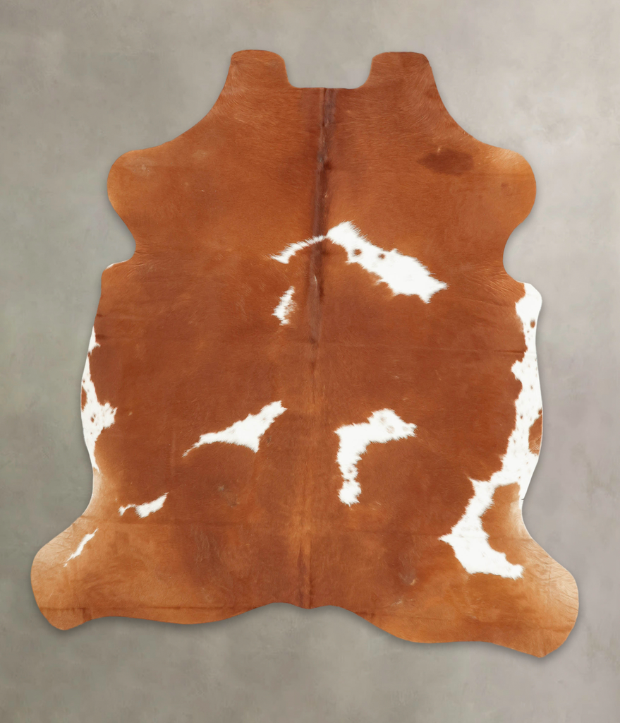 Brown and White Large European Cowhide Rug 6'7"H x 5'10"W #B5848 by Hudson Hides