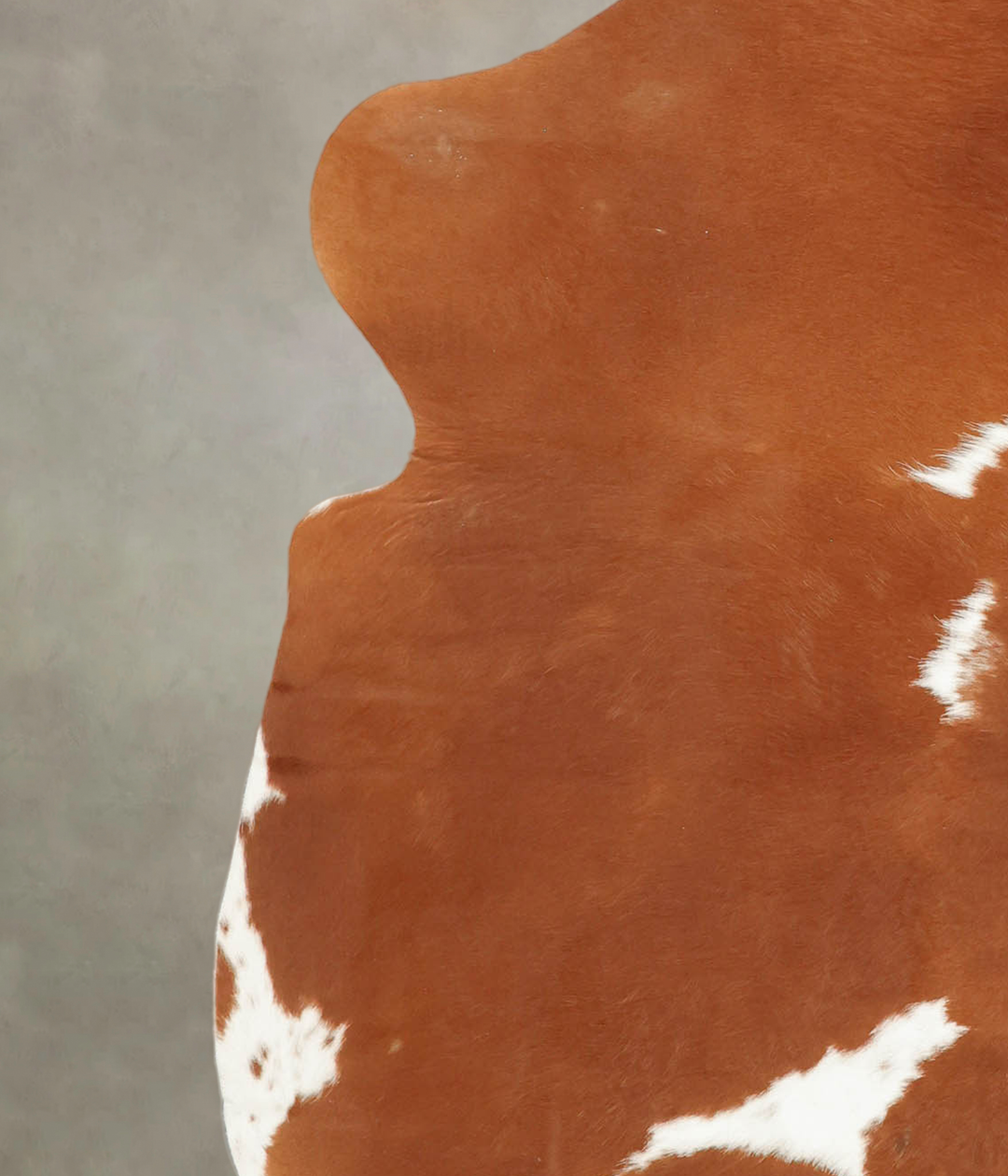 Brown and White Large European Cowhide Rug 6'7"H x 5'10"W #B5848 by Hu