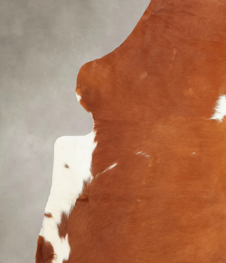 Brown and White X-Large European Cowhide Rug 7'1"H x 5'9"W #B5932 by Hudson Hides
