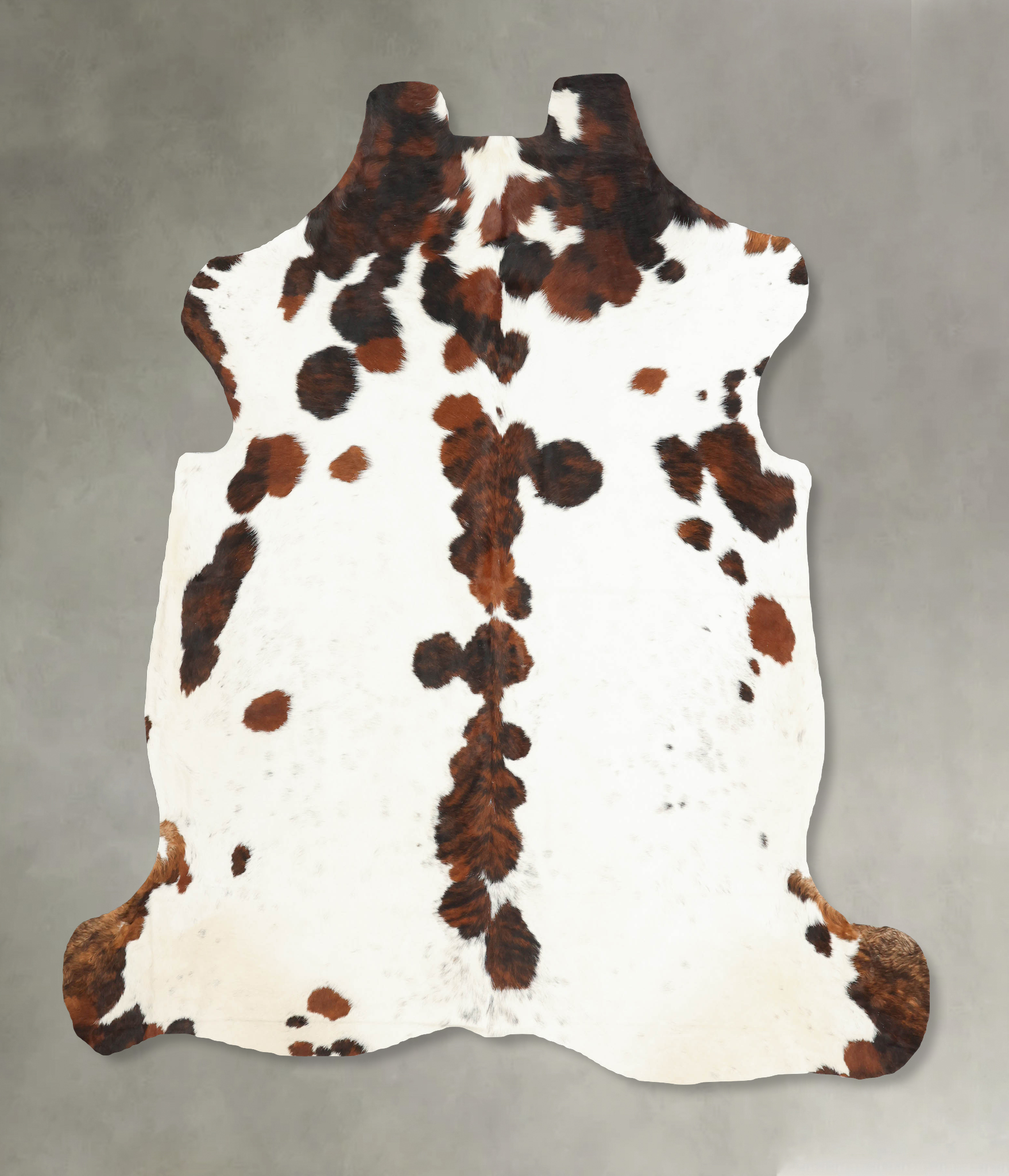 Tricolor Cowhide Rug #B5957
