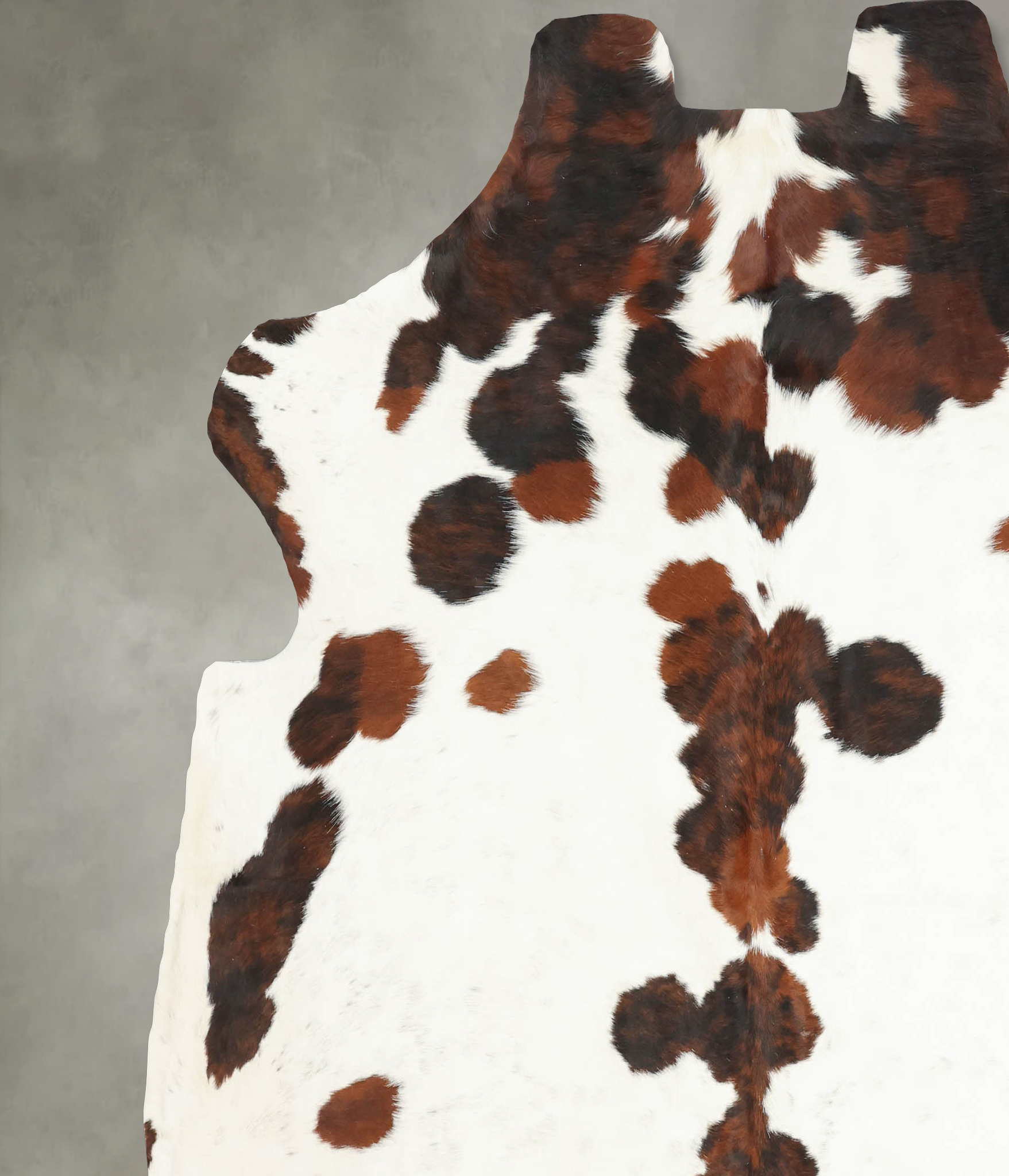 Tricolor Cowhide Rug #B5957