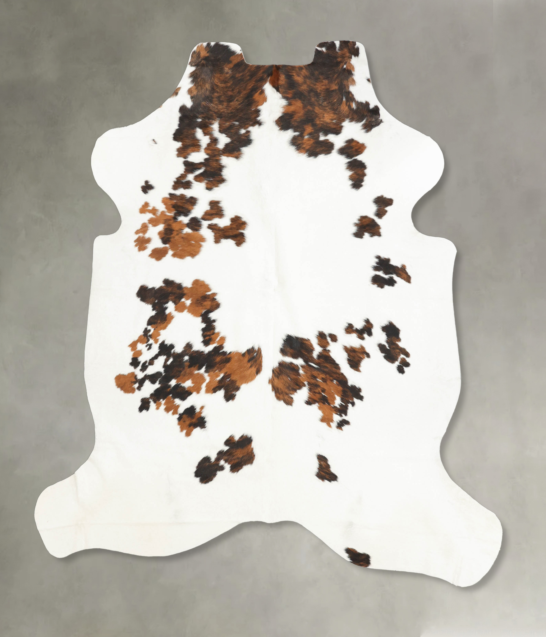 Tricolor Cowhide Rug #B5967