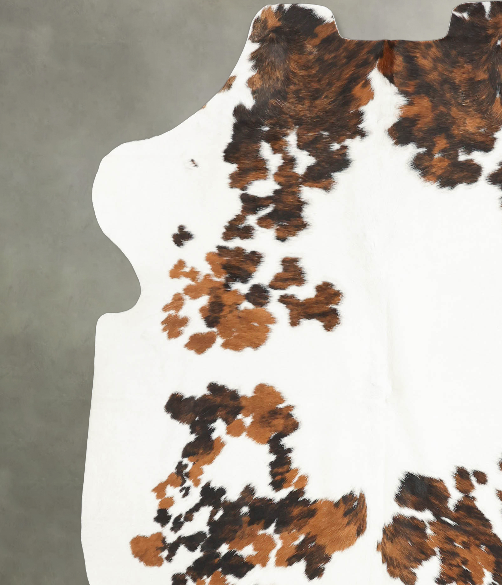 Tricolor Cowhide Rug #B5967