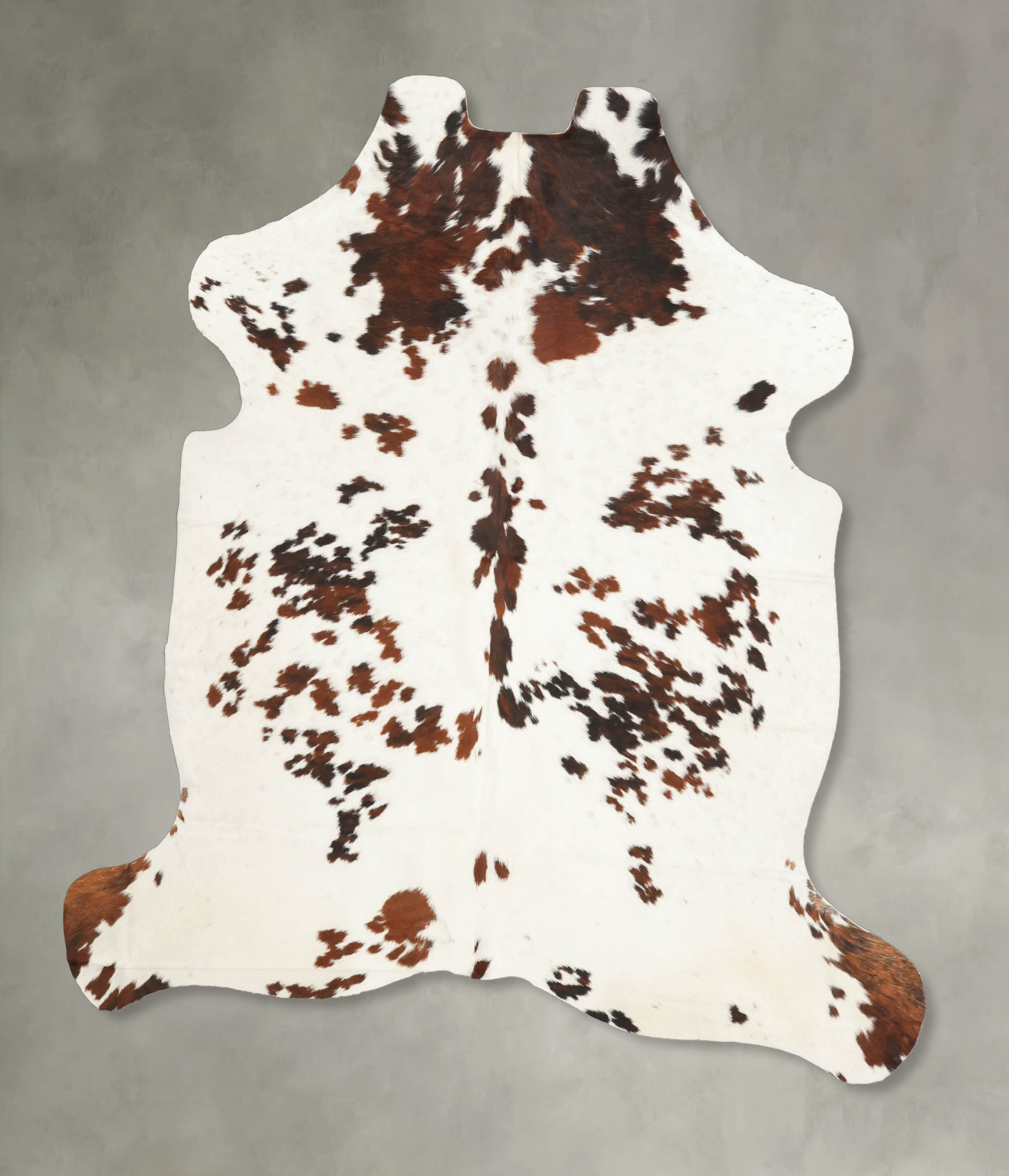 Tricolor Cowhide Rug #B5996