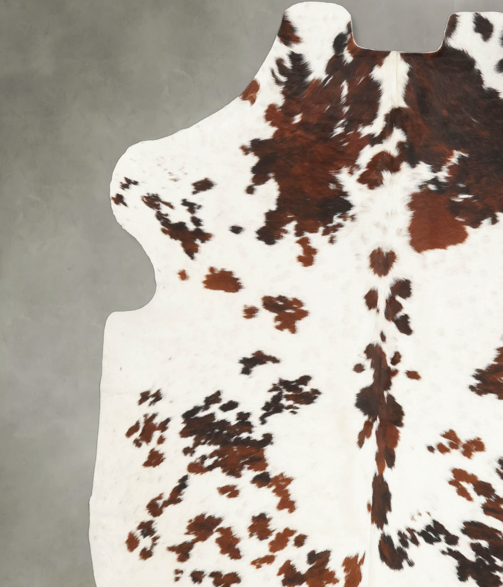 Tricolor Cowhide Rug #B5996