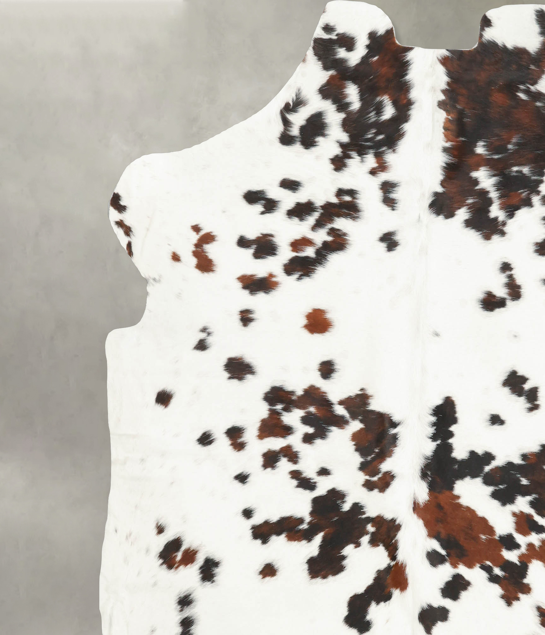 Tricolor Cowhide Rug #B6040