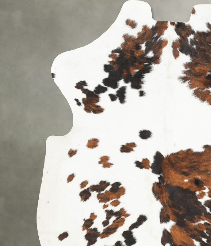 Tricolor Large European Cowhide Rug 6'10"H x 5'10"W #B6052 by Hudson Hides