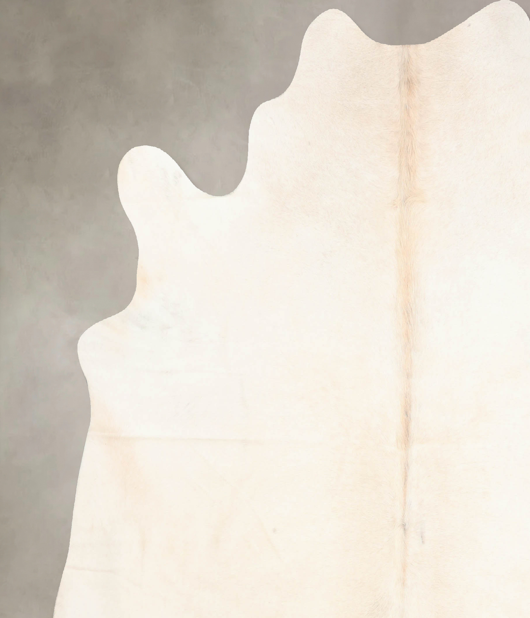 Ivory with Beige XX-Large Brazilian Cowhide Rug 7'10"H x 7'2"W #B6305 