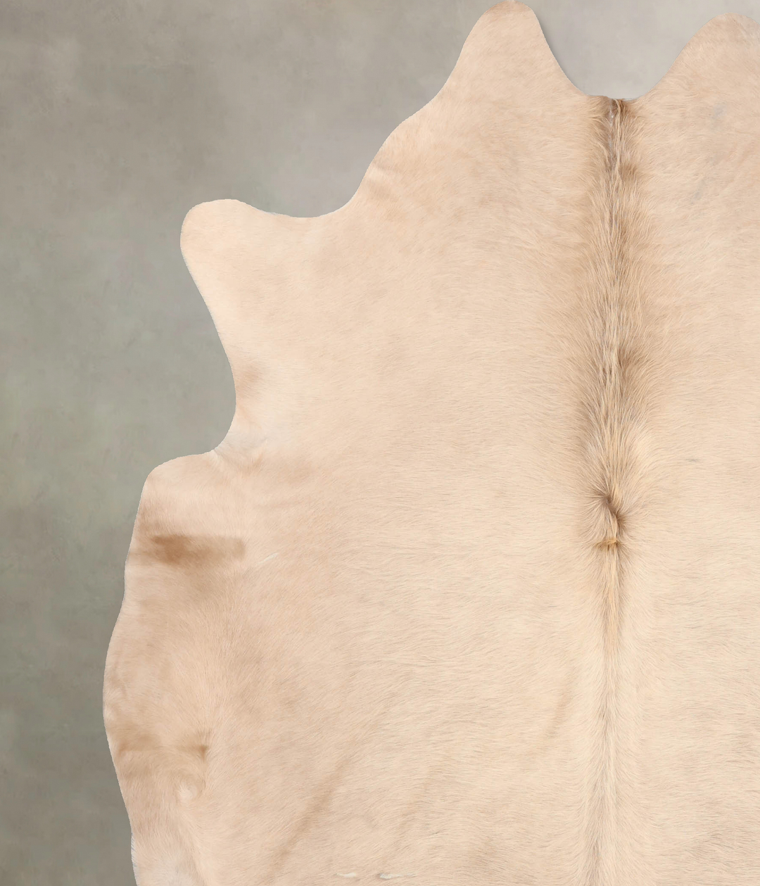 Champagne XX-Large Brazilian Cowhide Rug 8'2"H x 7'0"W #B6315 by Hudso