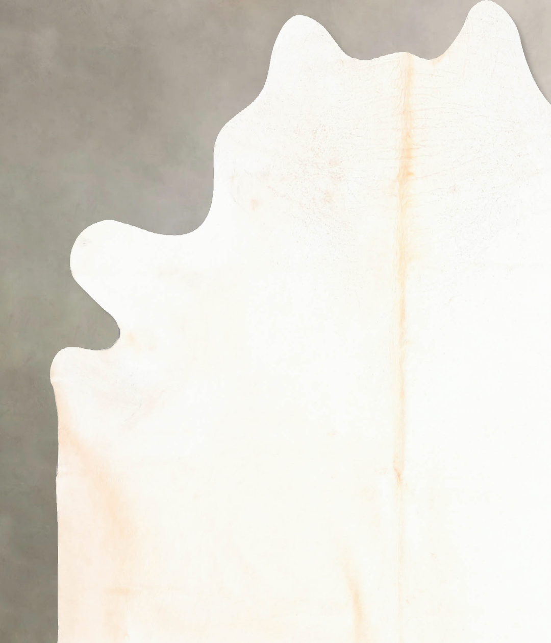 Ivory with Beige XX-Large Brazilian Cowhide Rug 7'6"H x 7'0"W #B6316 b