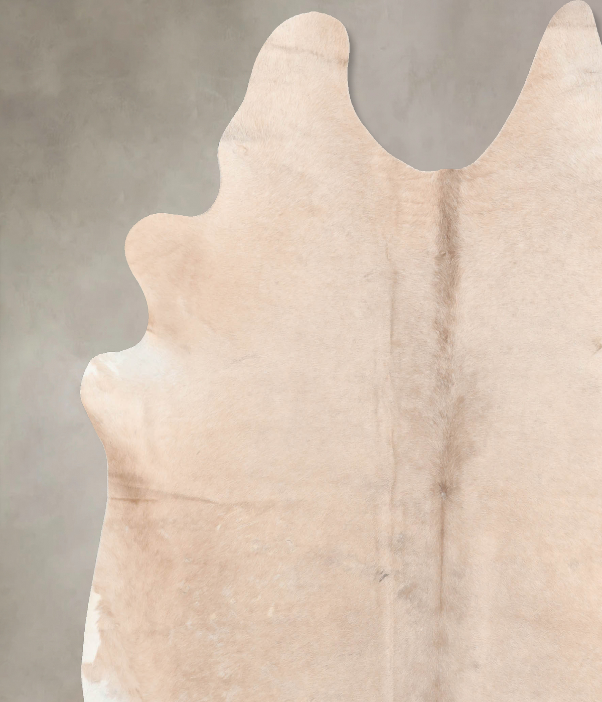 Champagne XX-Large Brazilian Cowhide Rug 7'10"H x 6'11"W #B6322 by Hudson Hides