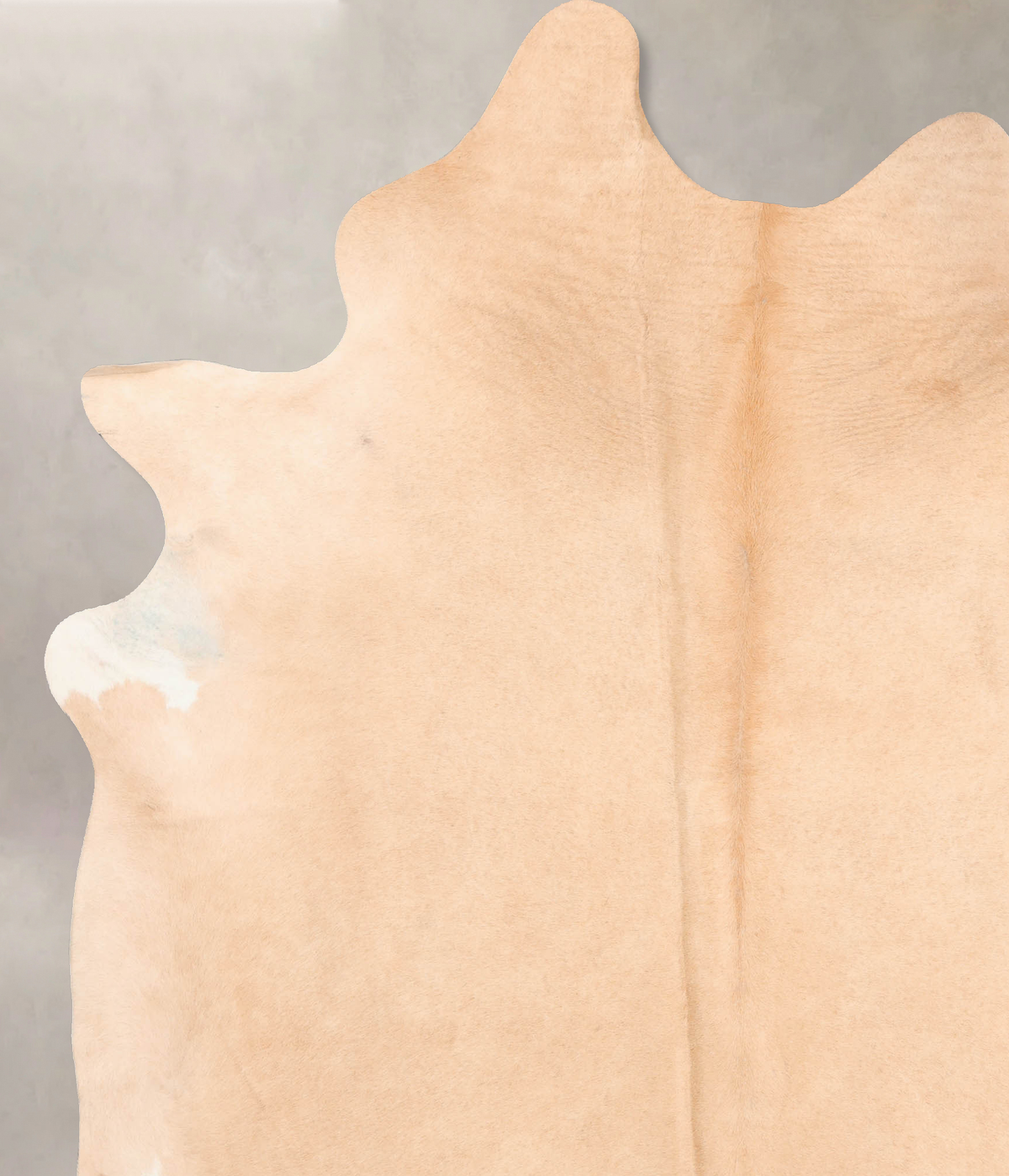 Beige XX-Large Brazilian Cowhide Rug 8'3"H x 6'9"W #B6330 by Hudson Hides