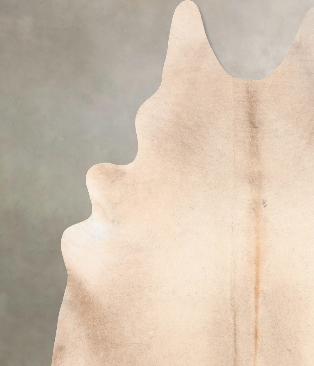 Champagne XX-Large Brazilian Cowhide Rug 8'1"H x 7'1"W #B6352 by Hudso