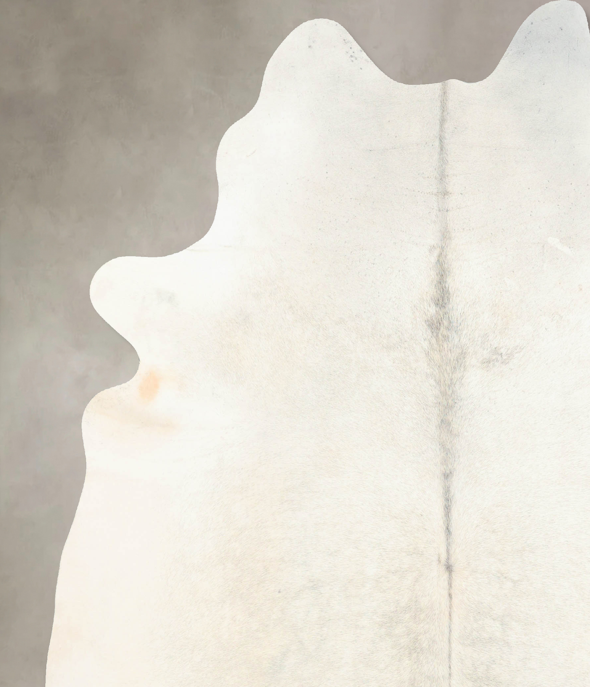Light Grey XX-Large Brazilian Cowhide Rug 8'5"H x 7'0"W #B6388 by Hudson Hides