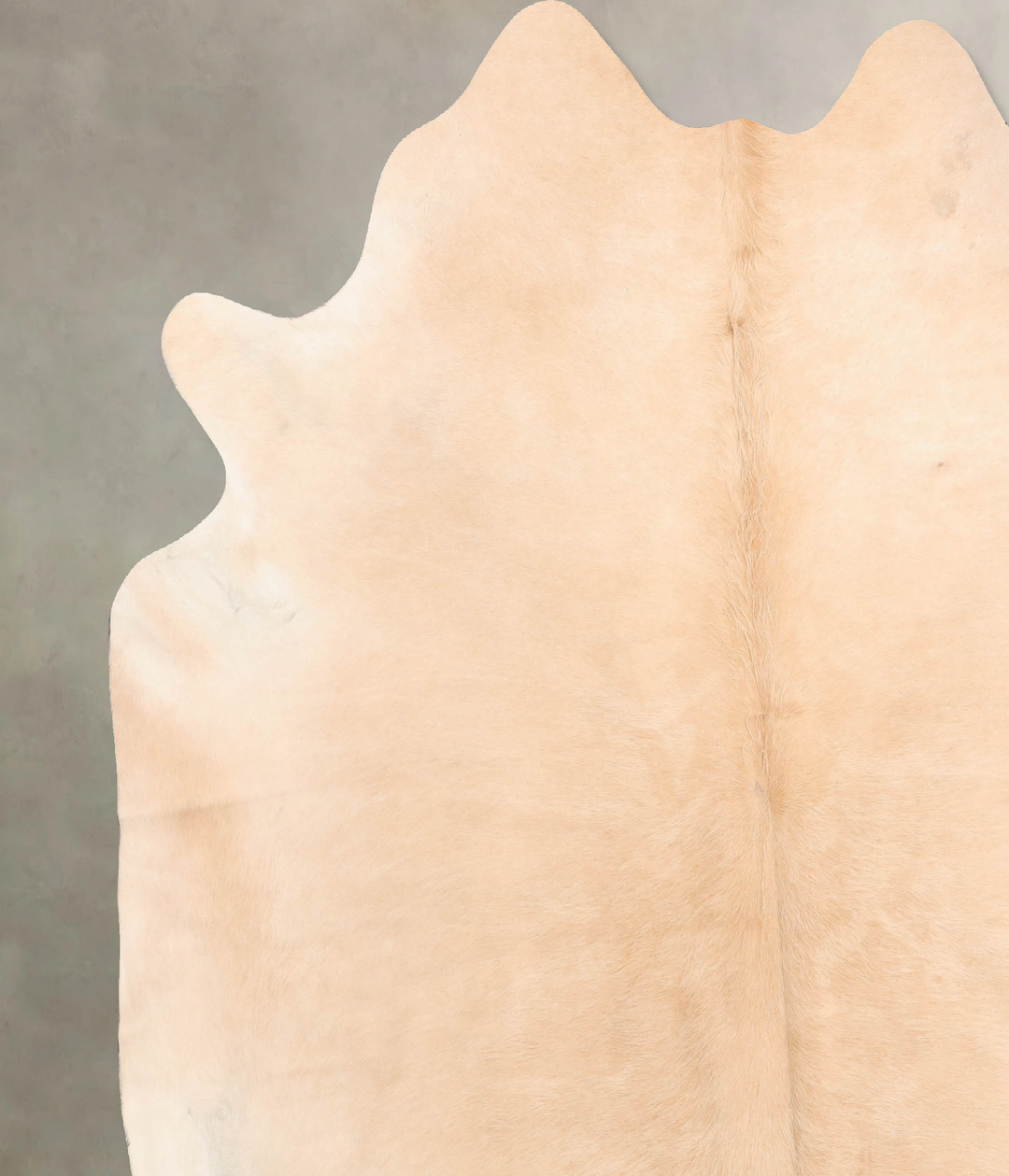 Palomino XX-Large Brazilian Cowhide Rug 7'9"H x 7'0"W #B6401 by Hudson