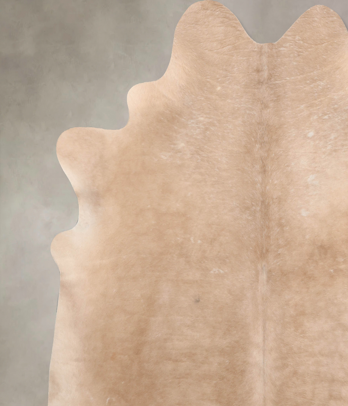 Champagne XX-Large Brazilian Cowhide Rug 7'8"H x 7'1"W #B6436 by Hudson Hides