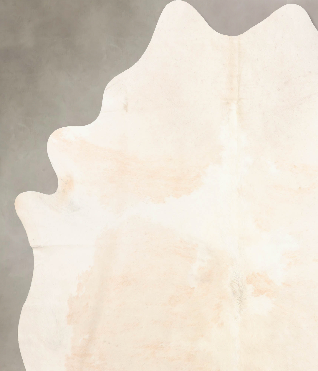 Ivory with Beige XX-Large Brazilian Cowhide Rug 7'8"H x 6'8"W #B6461 b