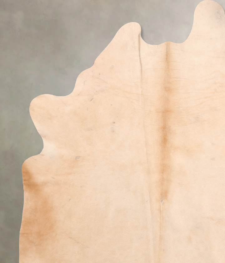 Beige XX-Large Brazilian Cowhide Rug 8'7"H x 6'4"W #B6463 by Hudson Hides