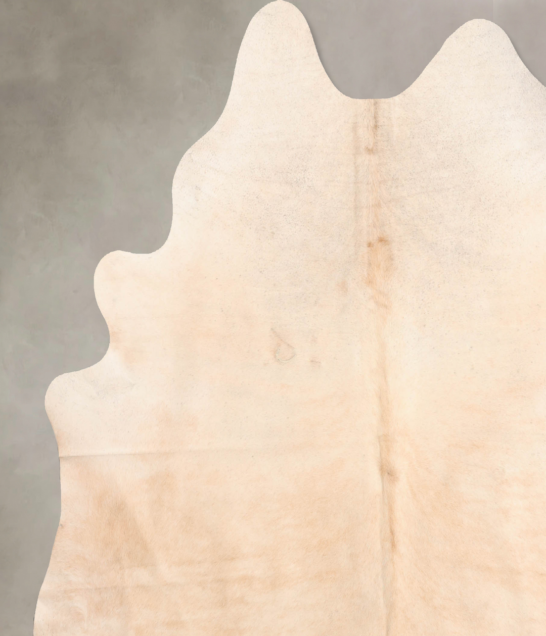 Ivory with Beige XX-Large Brazilian Cowhide Rug 7'9"H x 7'1"W #B6469 b