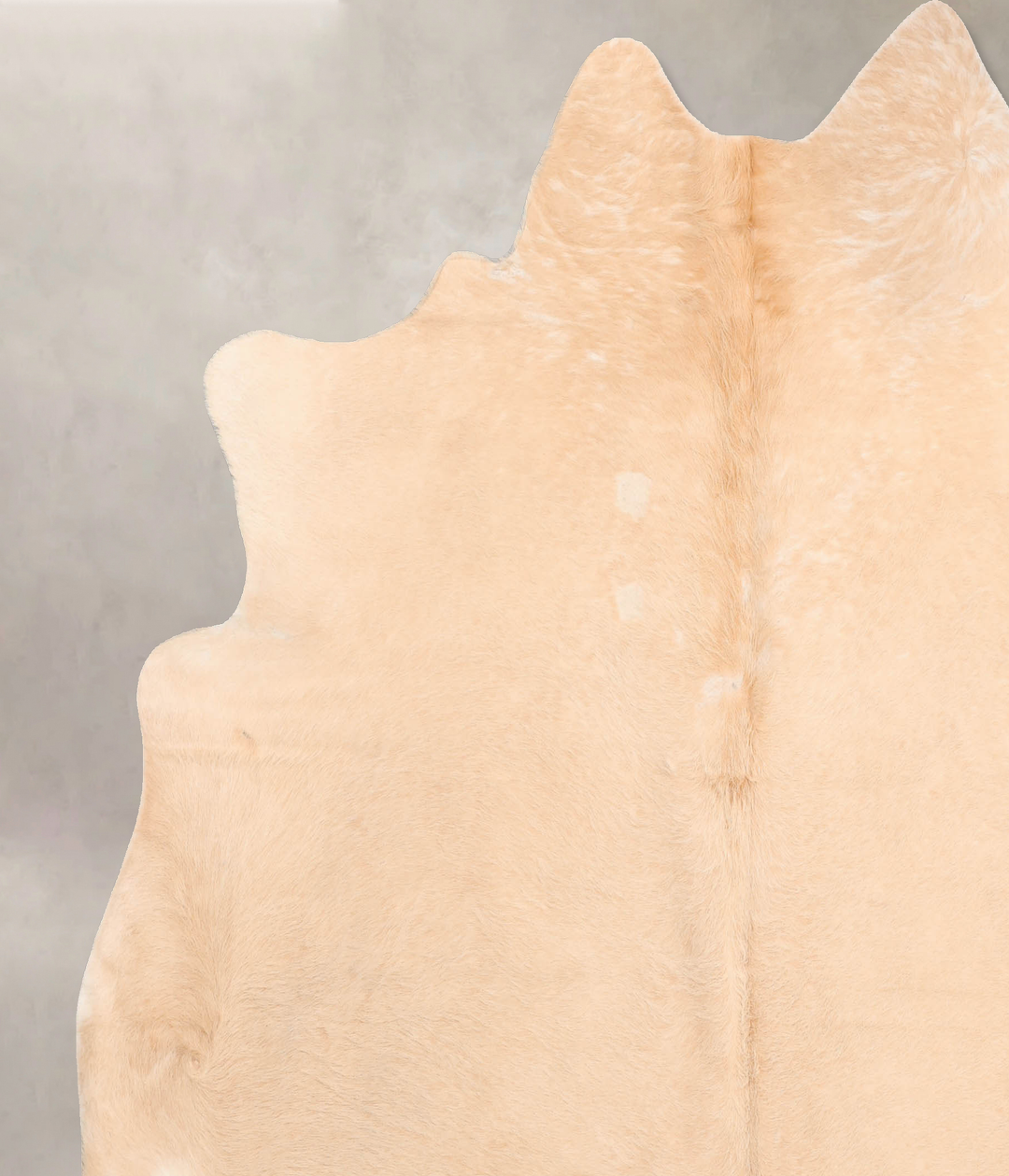 Palomino XX-Large Brazilian Cowhide Rug 7'3"H x 7'2"W #B6489 by Hudson