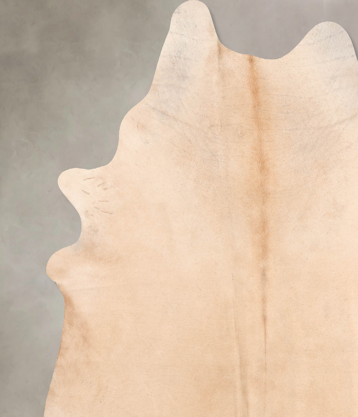 Palomino XX-Large Brazilian Cowhide Rug 8'0"H x 6'11"W #B6549 by Hudson Hides