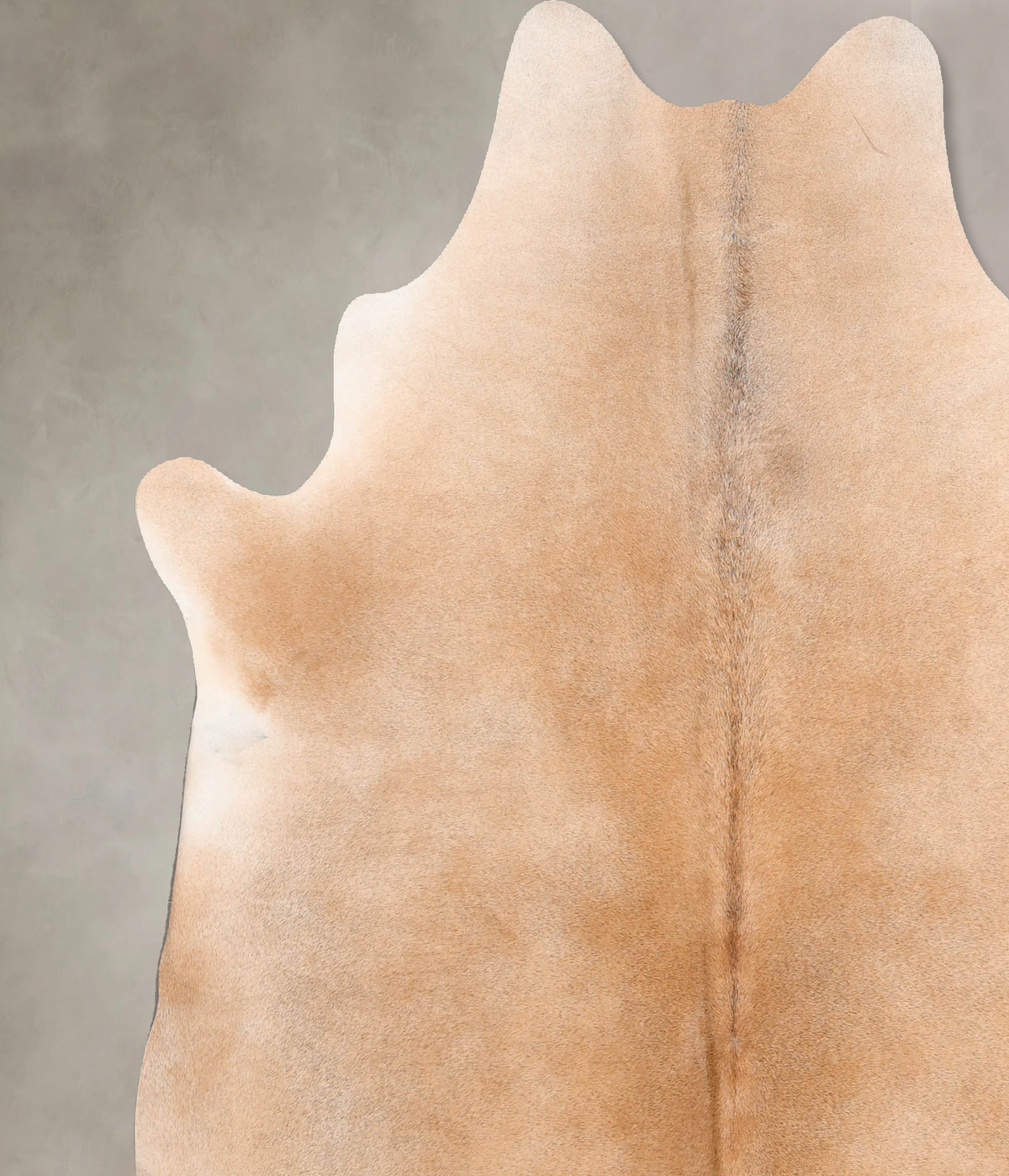 Grey with Beige X-Large Brazilian Cowhide Rug 7'2"H x 6'0"W #B6595 by Hudson Hides