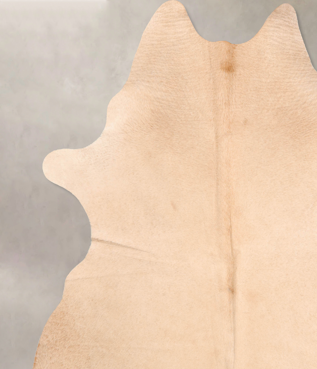 Palomino XX-Large Brazilian Cowhide Rug 8'0"H x 6'7"W #B6638 by Hudson Hides