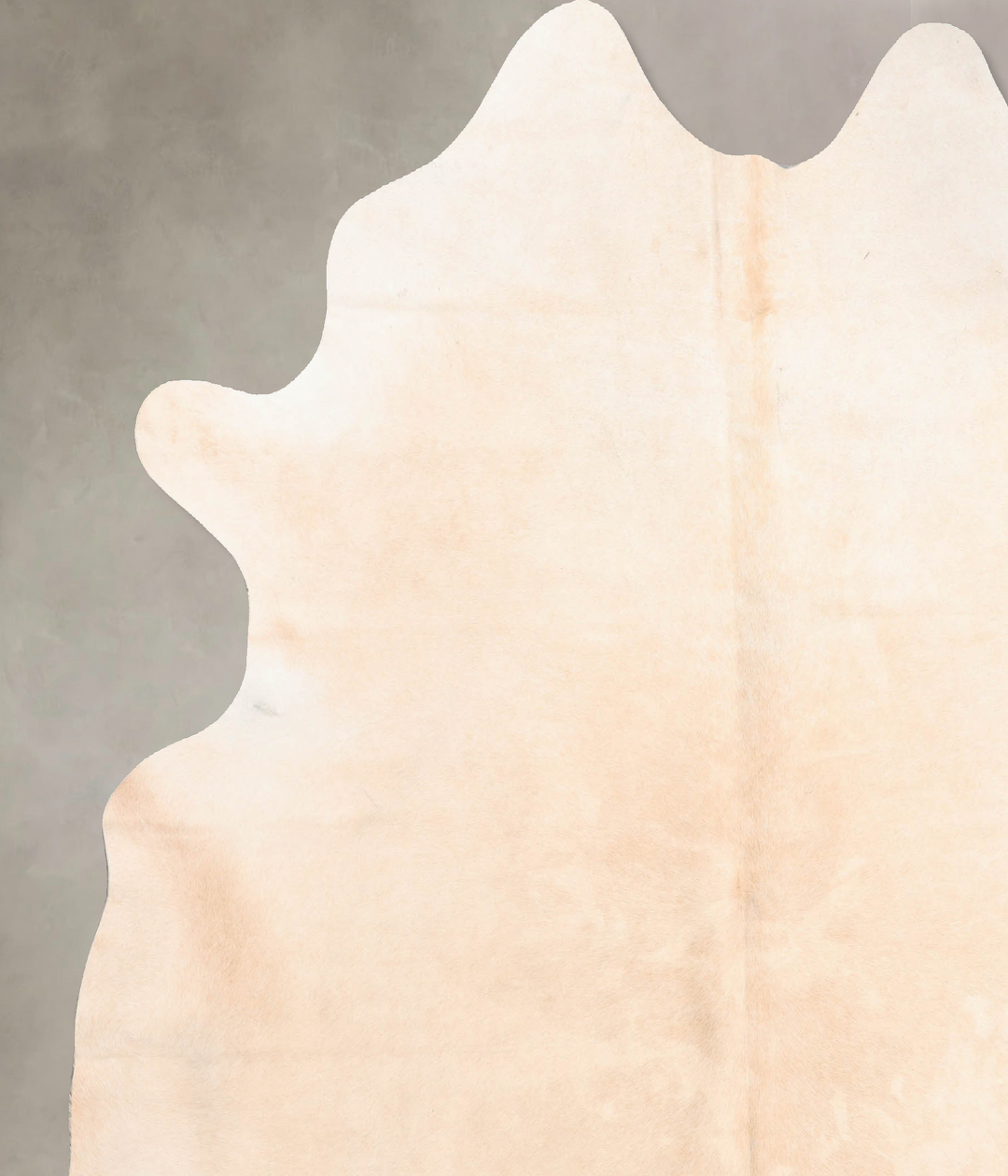 Ivory with Beige XX-Large Brazilian Cowhide Rug 8'1"H x 7'1"W #B6646 b