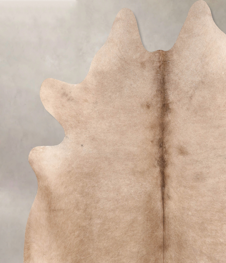 Champagne X-Large Brazilian Cowhide Rug 6'9"H x 6'5"W #B6655 by Hudson Hides