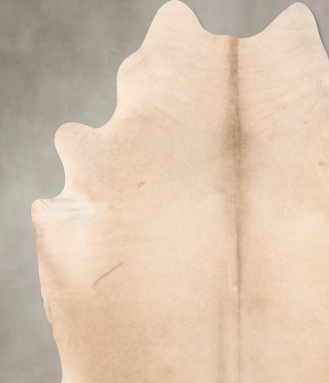 Palomino XX-Large Brazilian Cowhide Rug 7'10"H x 7'2"W #B6679 by Hudso