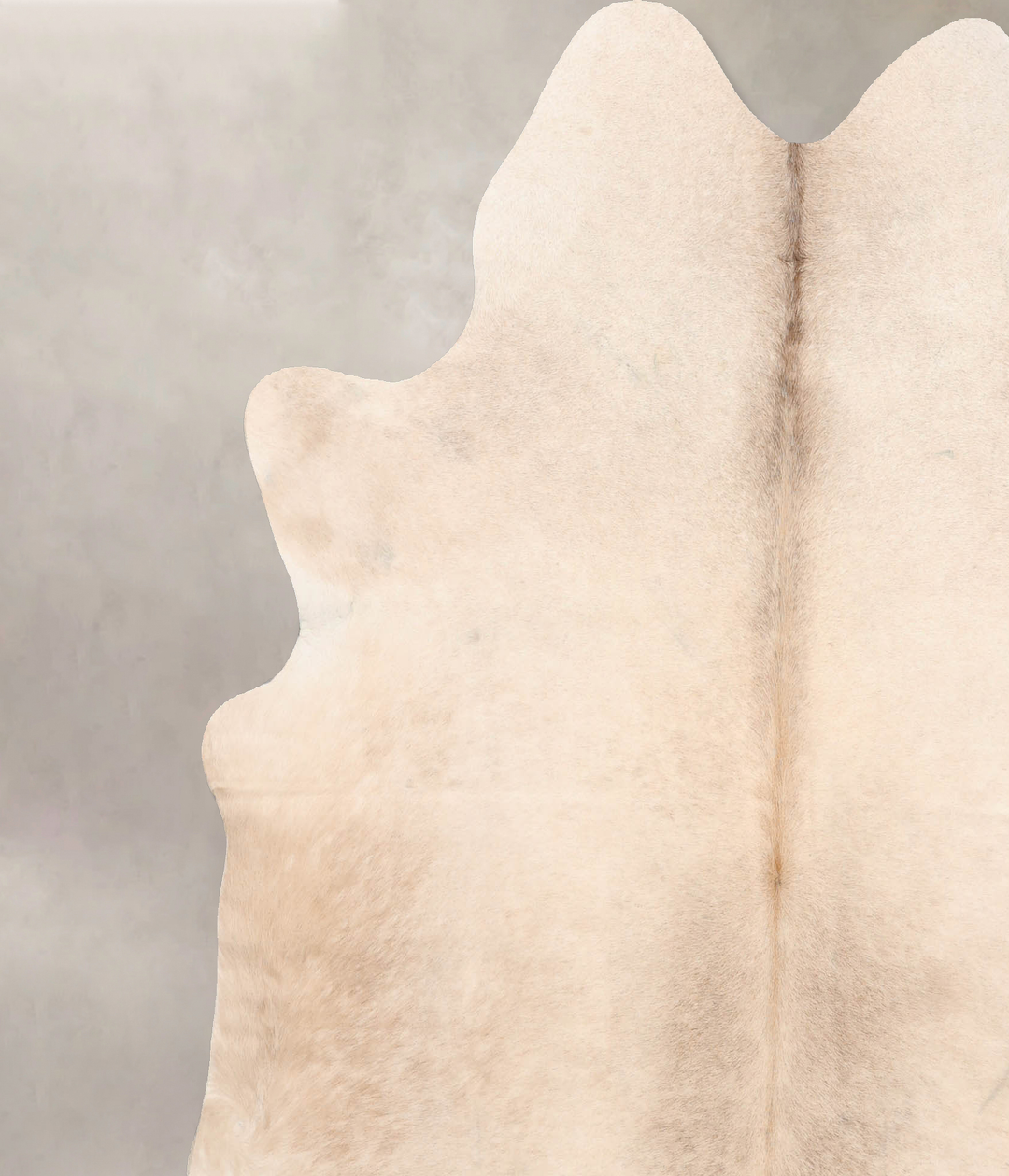 Champagne X-Large Brazilian Cowhide Rug 7'0"H x 6'7"W #B6698 by Hudson