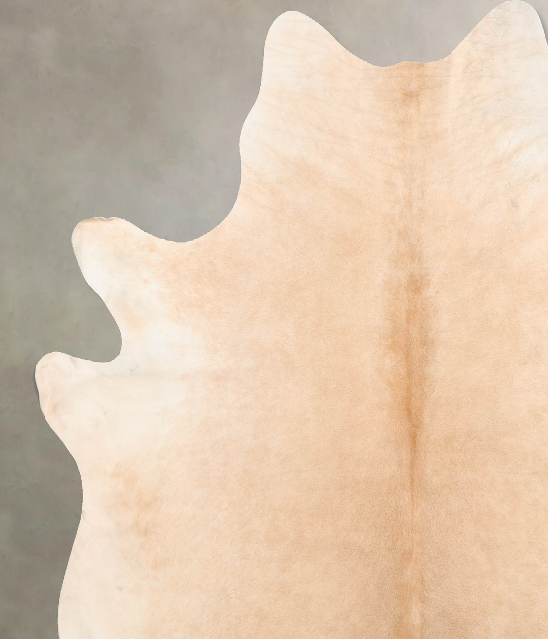 Palomino X-Large Brazilian Cowhide Rug 6'10"H x 6'5"W #B6711 by Hudson