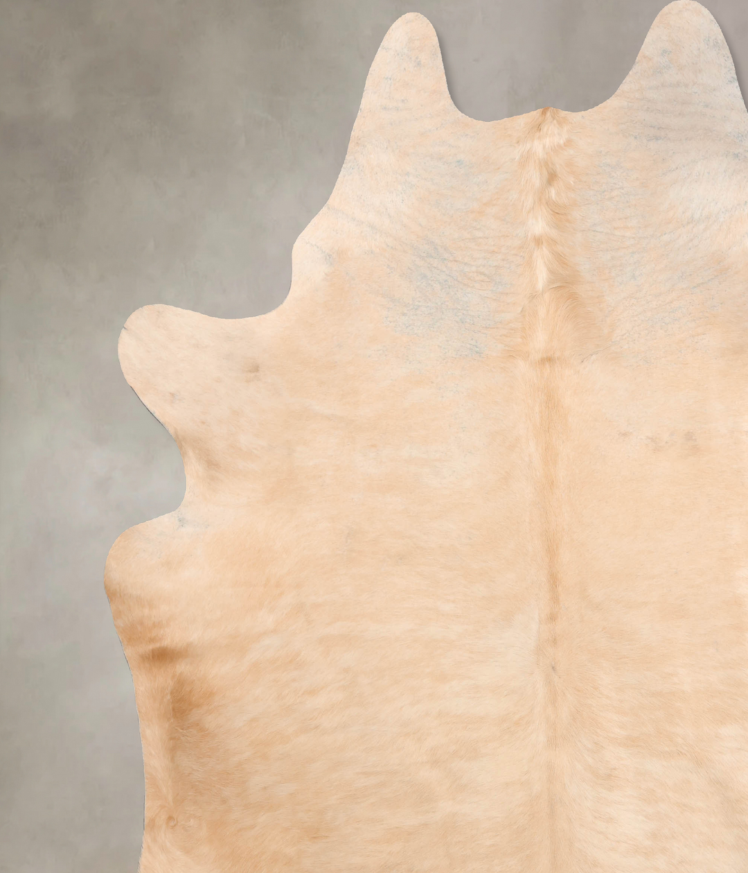 Beige XX-Large Brazilian Cowhide Rug 8'8"H x 7'10"W #B6740 by Hudson H