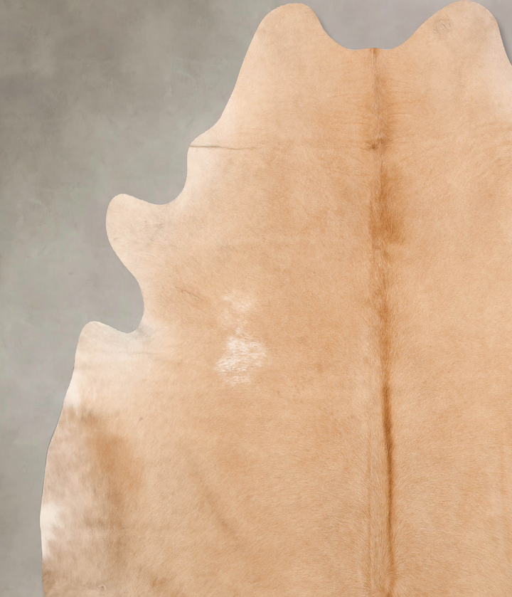 Beige XX-Large Brazilian Cowhide Rug 7'8"H x 6'11"W #B6752 by Hudson Hides