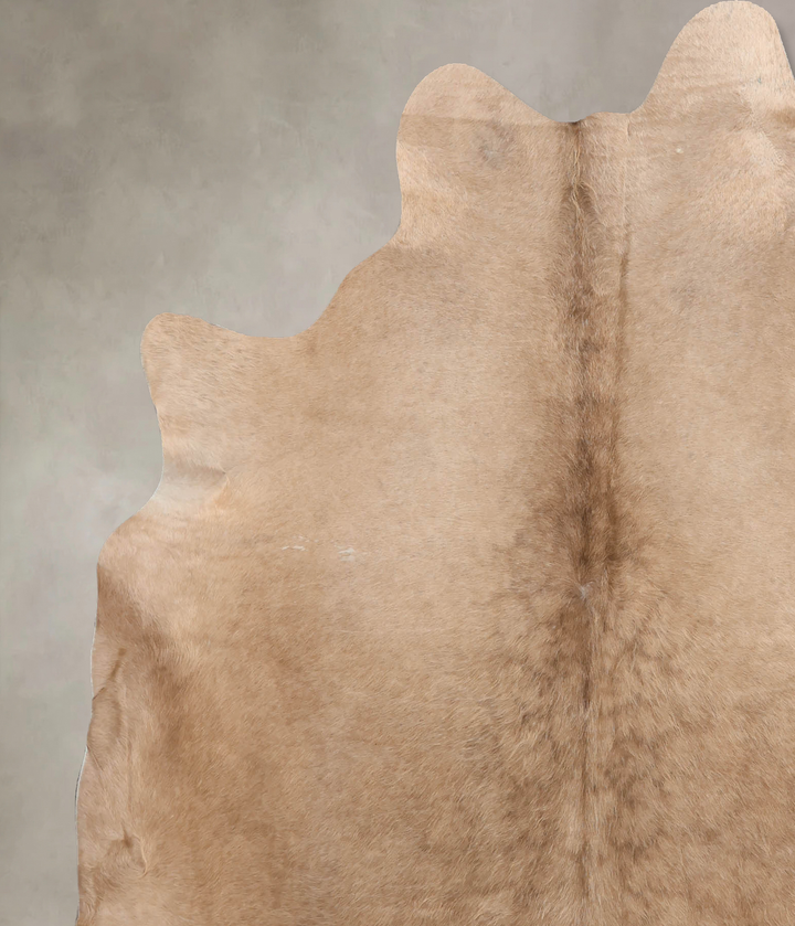 Champagne X-Large Brazilian Cowhide Rug 6'11"H x 6'1"W #B6799 by Hudson Hides