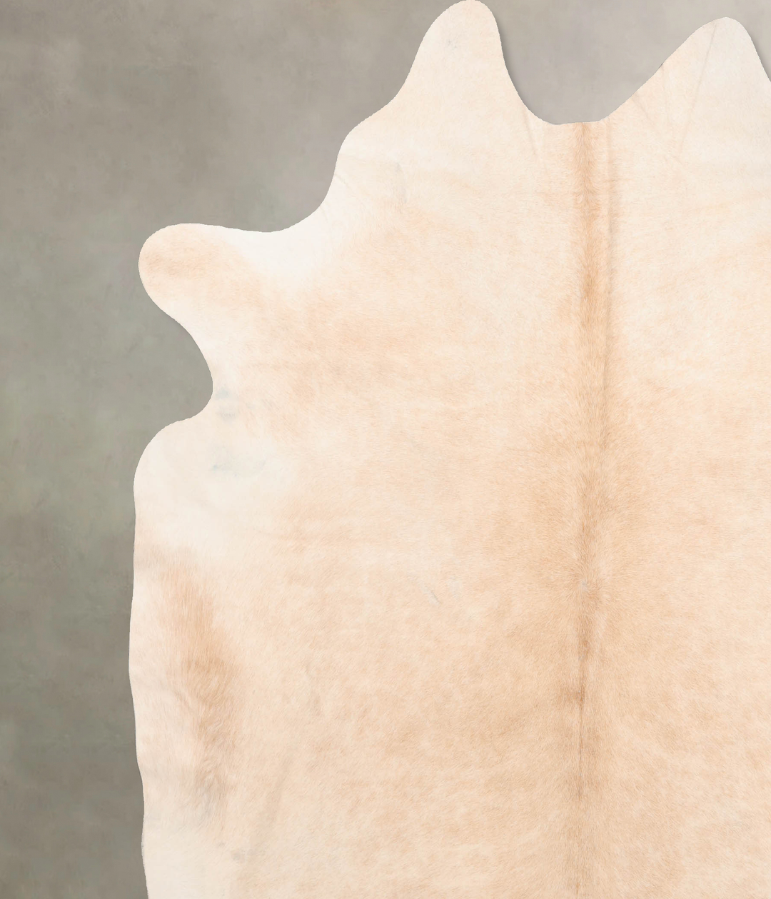 Palomino XX-Large Brazilian Cowhide Rug 7'9"H x 7'1"W #B6834 by Hudson