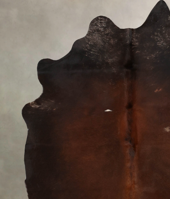 Chocolate Large Brazilian Cowhide Rug 6'10"H x 5'6"W #B6852 by Hudson Hides