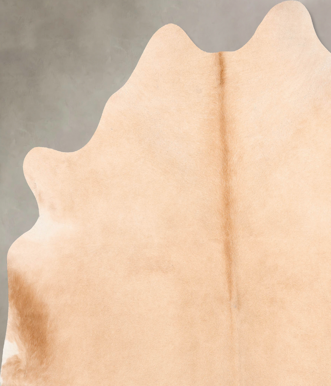 Palomino X-Large Brazilian Cowhide Rug 7'4"H x 6'8"W #B6905 by Hudson 