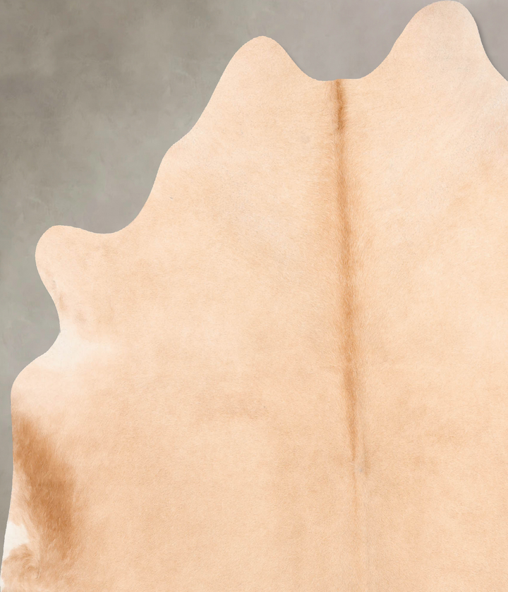 Palomino X-Large Brazilian Cowhide Rug 7'4"H x 6'8"W #B6905 by Hudson Hides