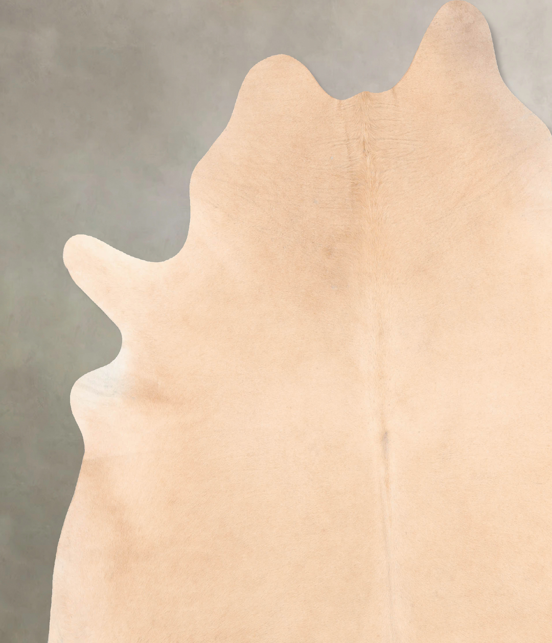 Palomino XX-Large Brazilian Cowhide Rug 8'9"H x 7'6"W #B6916 by Hudson