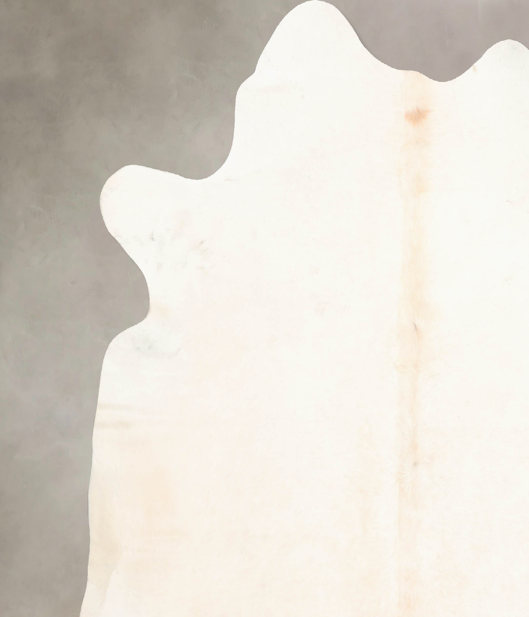 Ivory with Beige XX-Large Brazilian Cowhide Rug 7'11"H x 7'1"W #B7046 