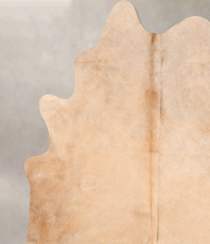 Beige X-Large Brazilian Cowhide Rug 6'10"H x 6'5"W #B7085 by Hudson Hides