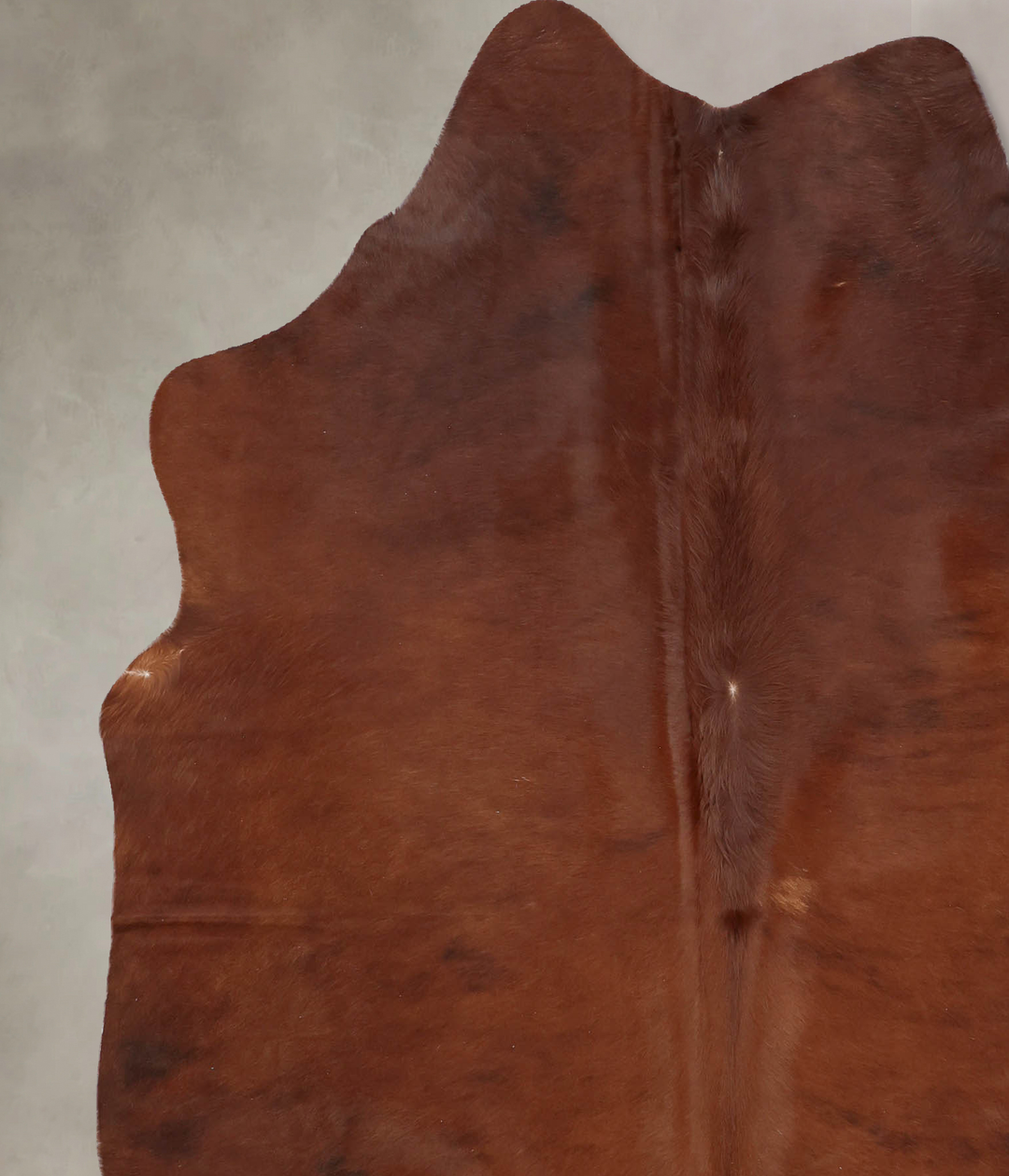 Medium Brindle X-Large Brazilian Cowhide Rug 6'10"H x 6'0"W #B7530 by 