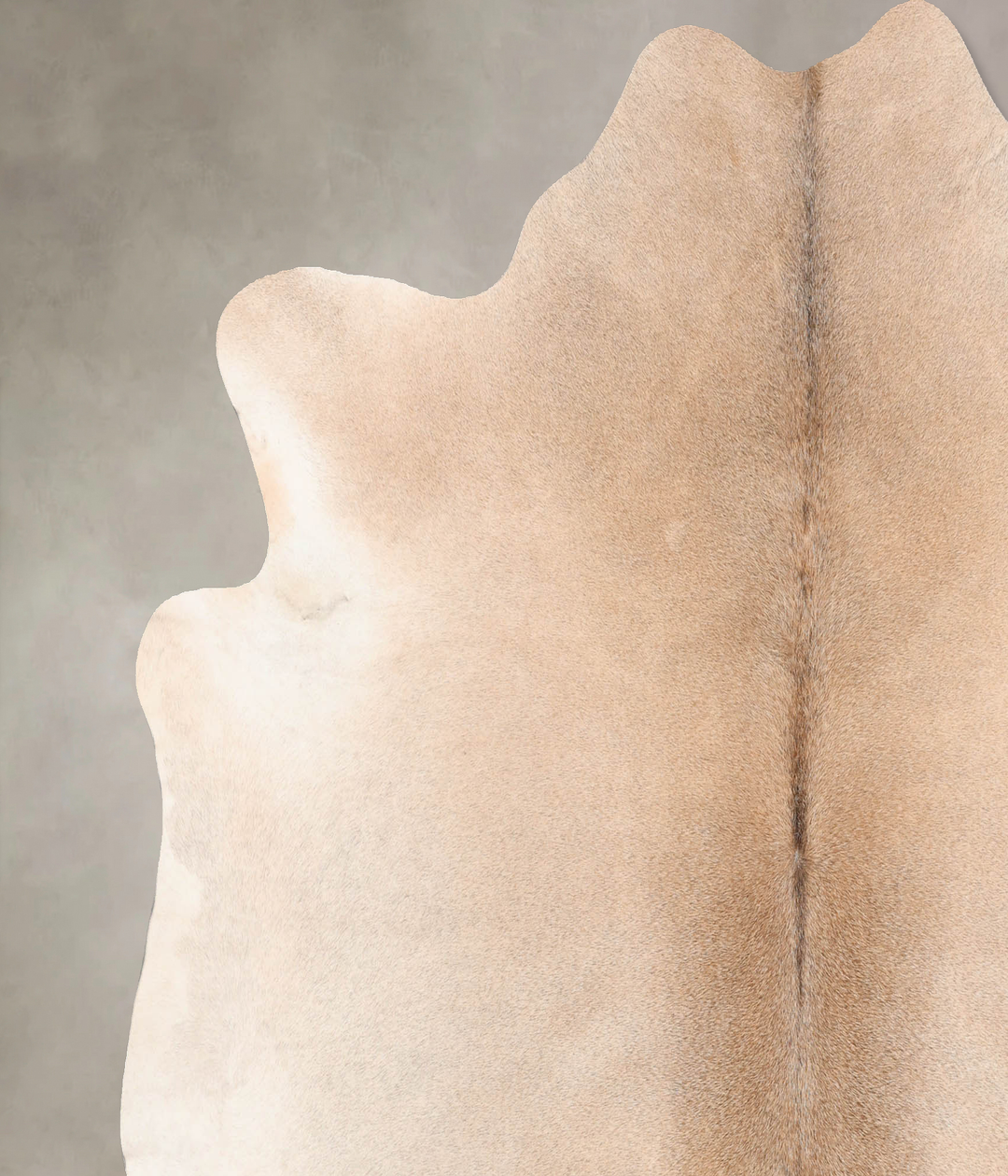 Grey with Beige X-Large Brazilian Cowhide Rug 6'7"H x 6'9"W #B7604 by 