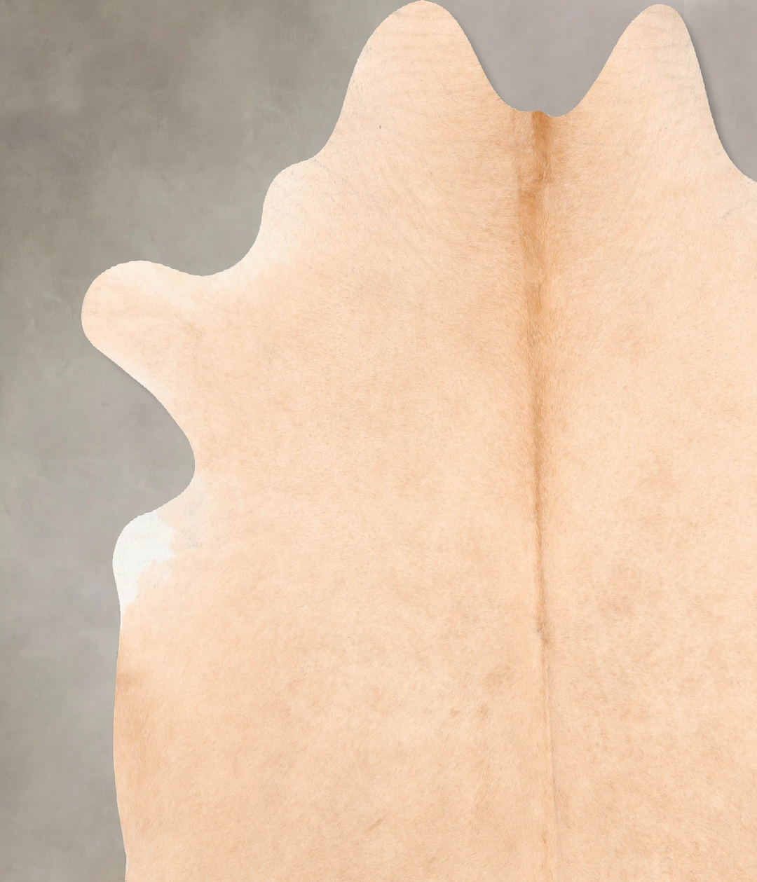 Palomino X-Large Brazilian Cowhide Rug 7'0"H x 6'5"W #B7613 by Hudson 