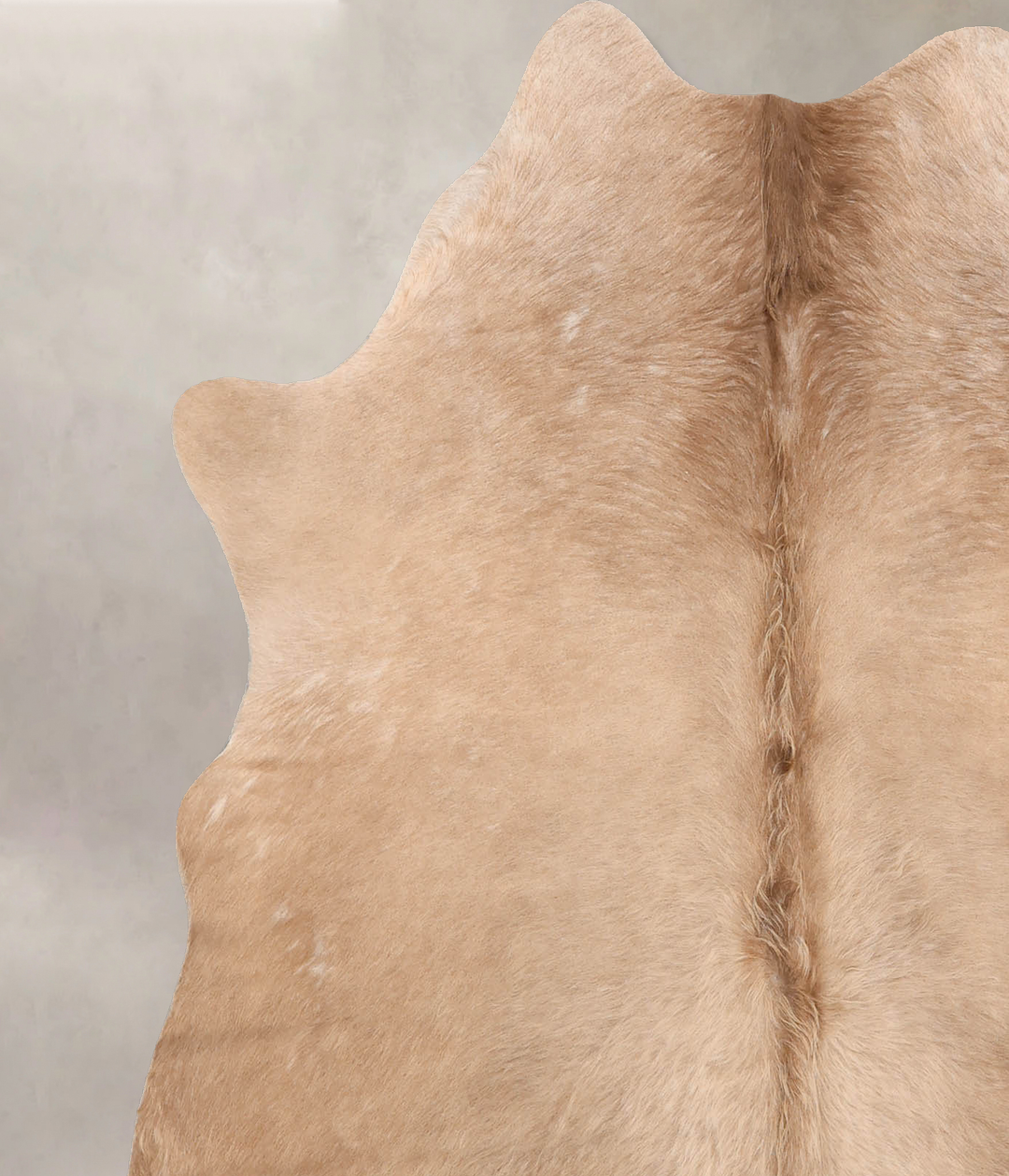 Champagne Large Brazilian Cowhide Rug 6'1"H x 5'5"W #B7699 by Hudson H